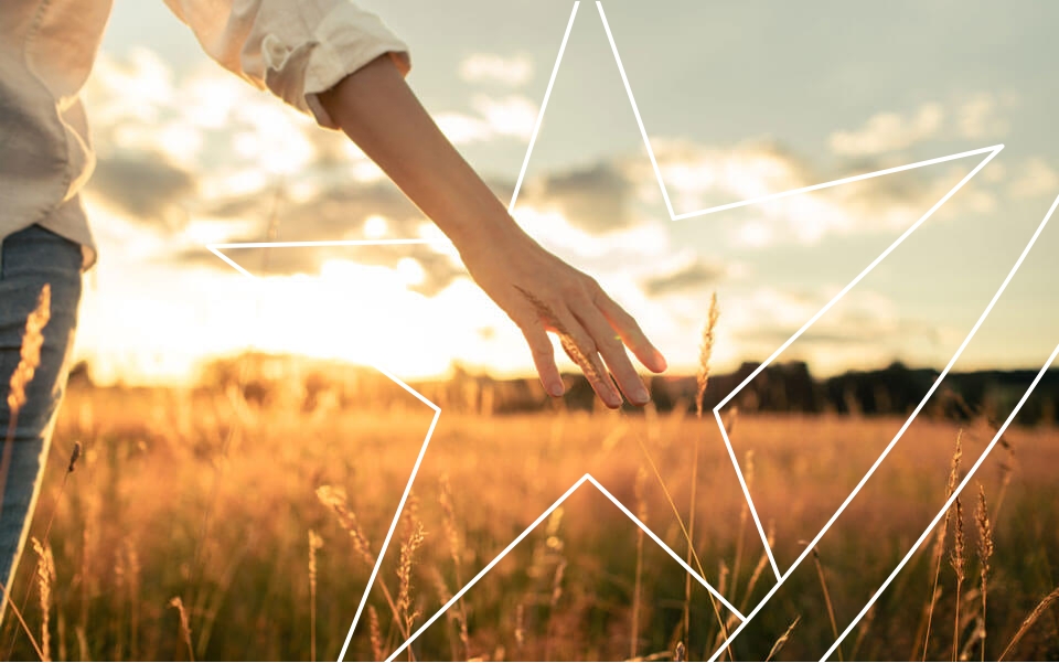 Woman touching tall grass while walking through a field at sunset