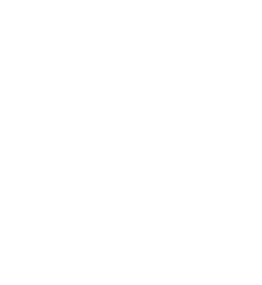 Texas Health and Human Services | Texas Department of State Health Services Logo
