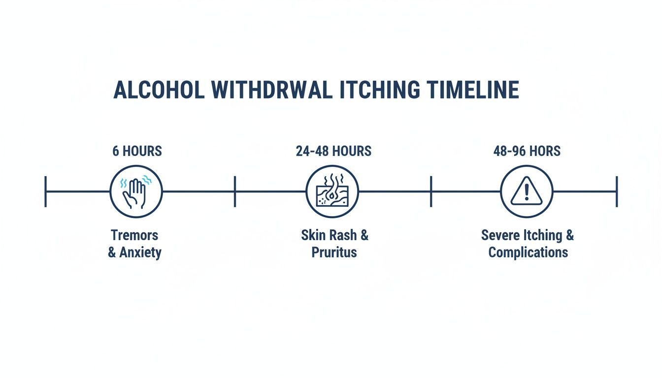 Timeline infographic detailing the stages of alcohol withdrawal itching from initial tremors to severe complications.