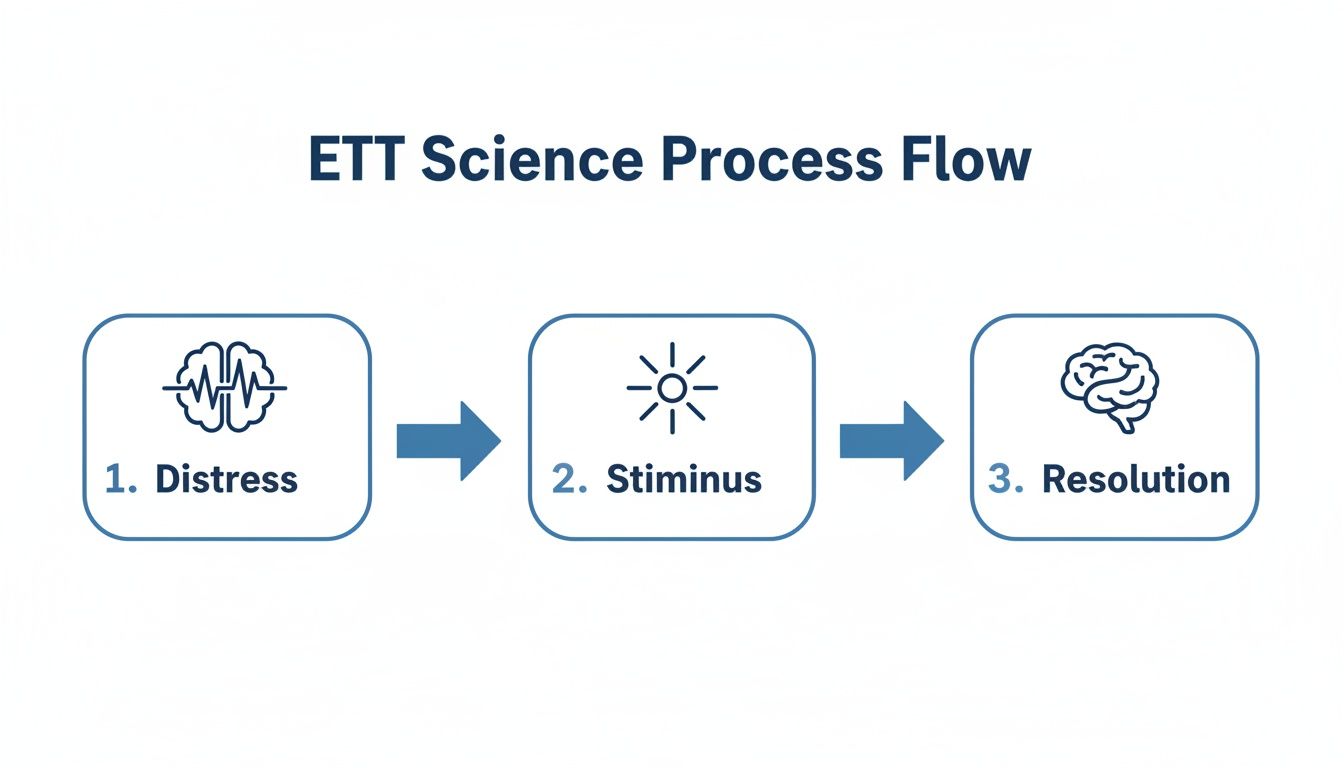 Diagram illustrating the ETT Science Process Flow: Distress, Stimulus, and Resolution with corresponding icons.