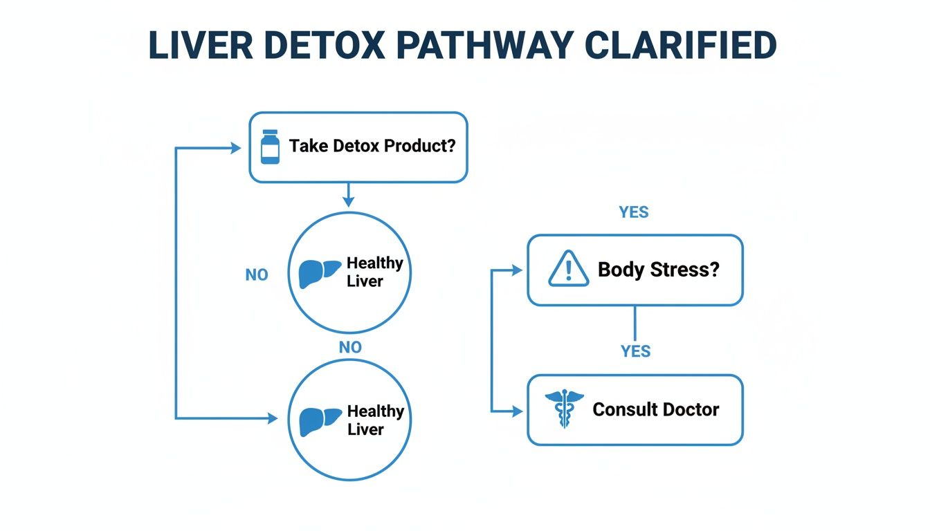 A flowchart titled 'LIVER DETOX PATHWAY CLARIFIED' showing decisions around taking detox products and body stress.