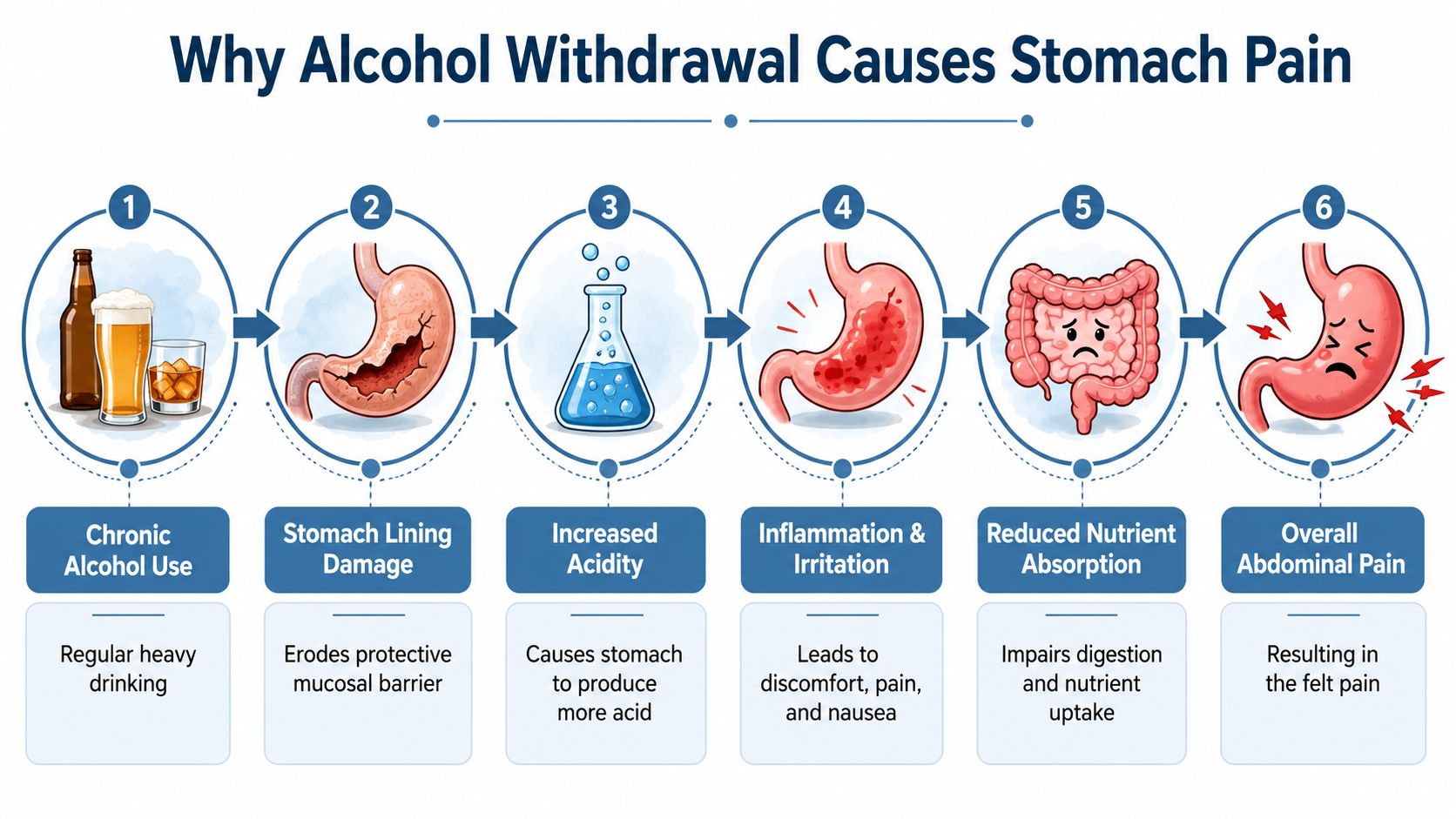 An infographic showing six steps illustrating how chronic alcohol use leads to stomach and abdominal pain.
