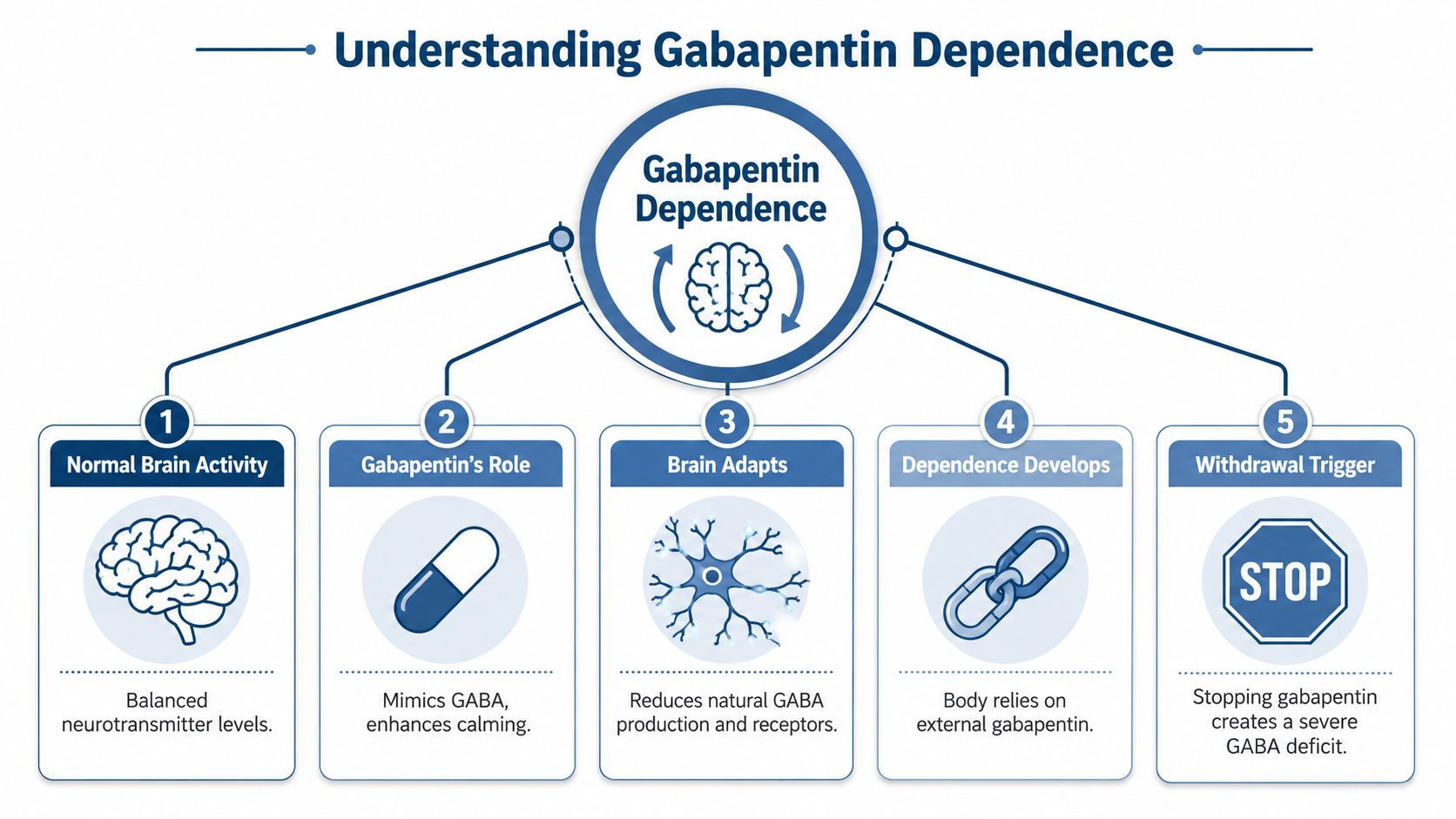An infographic illustrating how the body develops a physical dependence on the medication gabapentin over time.