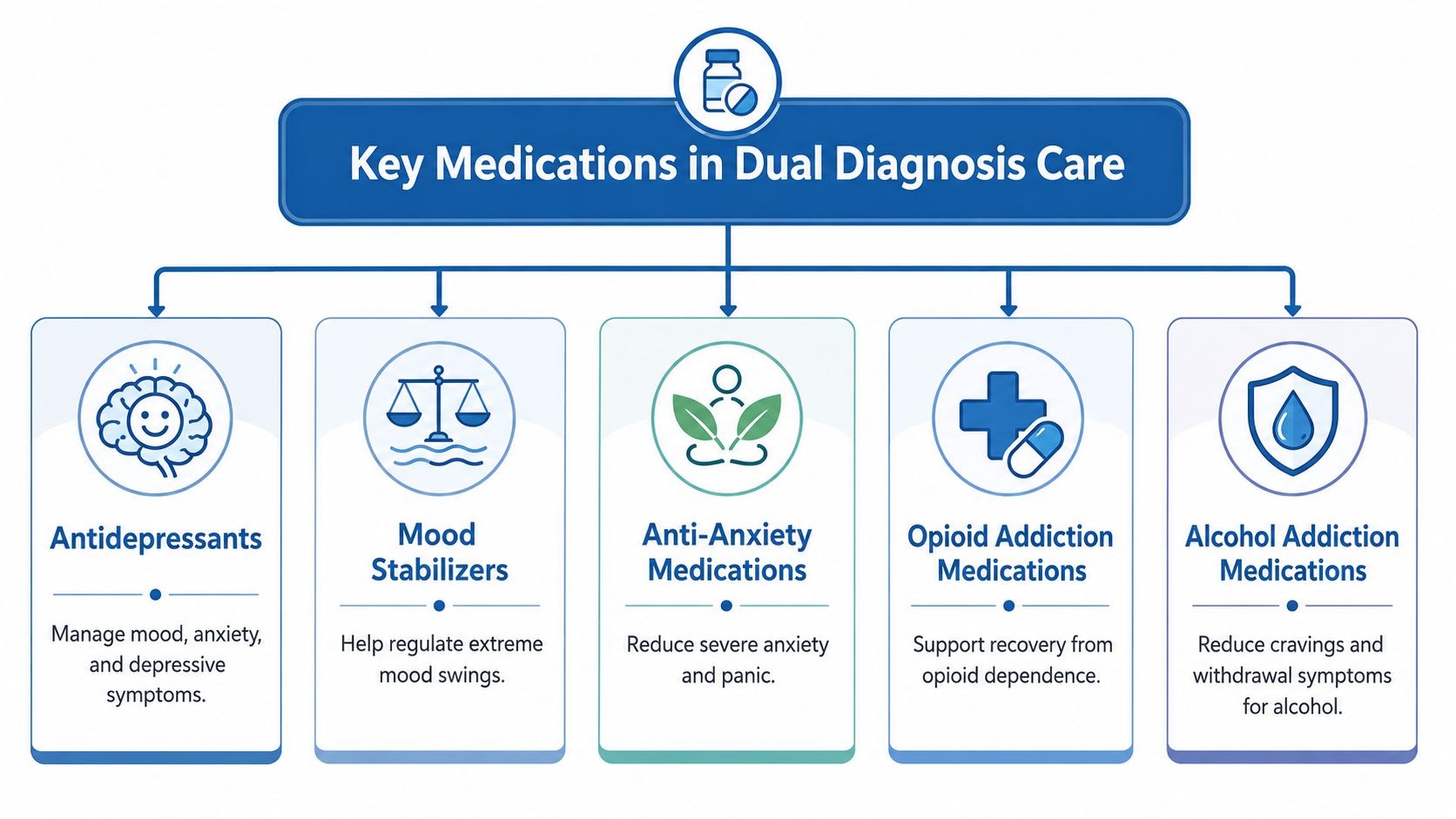 An infographic showing five key categories of medications used in dual diagnosis treatment for mental health and addiction.
