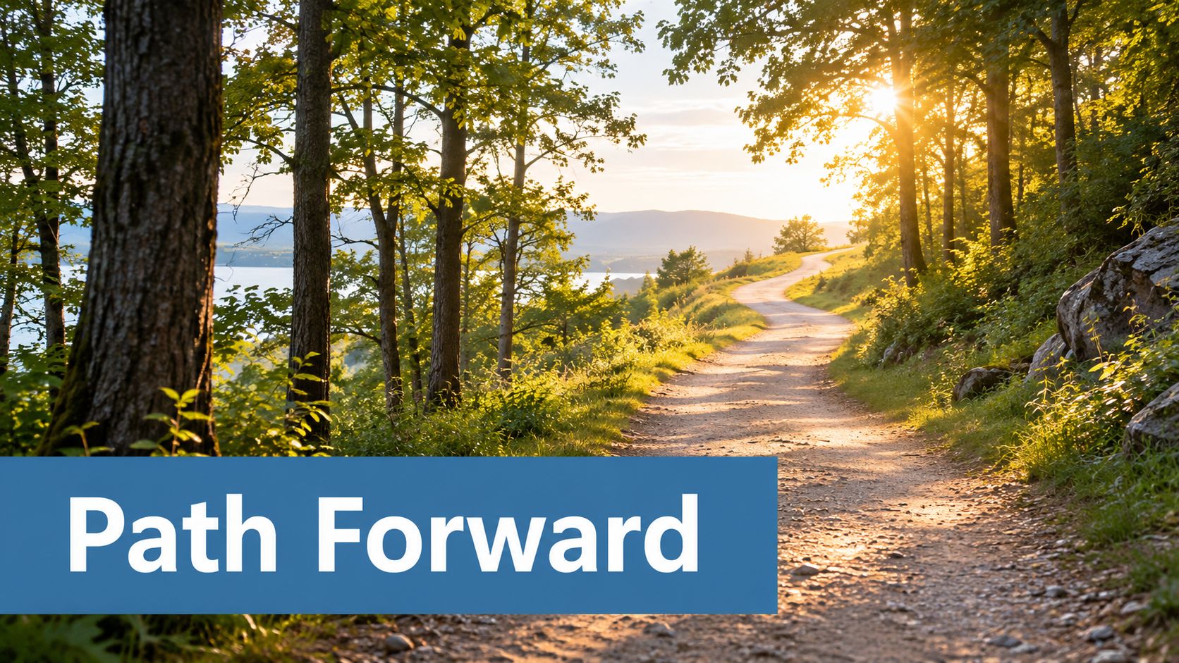 A scenic dirt path winding through a sunlit forest toward a bright horizon, symbolizing a path forward.